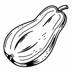 Hand-Drawn Line Art Illustration of a Butternut Squash