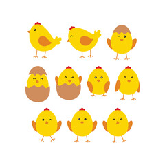 Collection of Cute Yellow Baby Chicks and Egg Shells for Easter