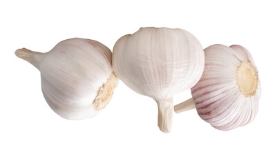 Side view of three white garlic bulbs in stack isolated on white background with clipping path