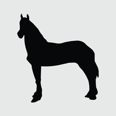 silhouette image of a black horse pose