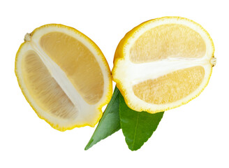 Front view of ripe yellow lemon fruit in two halves in oval or ellipses in heap isolated with...