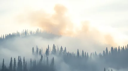 Sierkussen Mistig bos A misty landscape featuring towering trees surrounded by fog, indicating a serene yet mysterious atmosphere in nature.  © venusvi