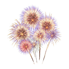 Obraz premium Vibrant Fireworks Display Against a Blank Canvas