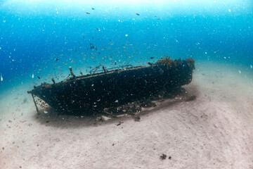 The sunken remains of a ship at Cabbage Tree Island, now surrounded by schools of fish and marine...
