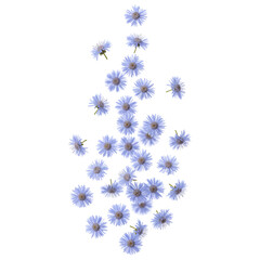 Ice Blue Ageratum Petals Falling as Delicate Fluffy Tufts