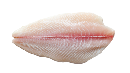 Discovering the beauty of a raw fish fillet in soft lighting with intricate textures and shadows