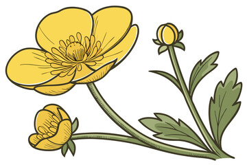 Radiant Buttercup Flower Symbol