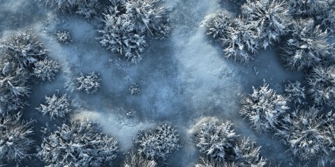 Aerial view of a snow-covered forest, showing clusters of trees dusted with a thick layer of snow