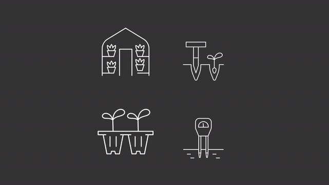 Gardening work animation set. Home farming animated white line icons. Seedling tray, greenhouse. Soil test, dibbler tool. Isolated elements on dark background. Alpha channel HD video