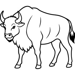 Rustic Bison Sketch Vector Art