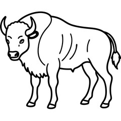 Rustic Bison Sketch Vector Art