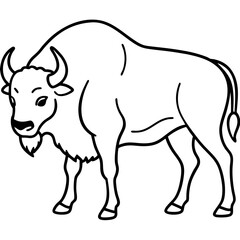 Rustic Bison Sketch Vector Art