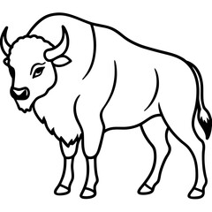Rustic Bison Sketch Vector Art