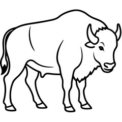 Rustic Bison Sketch Vector Art