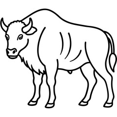Rustic Bison Sketch Vector Art
