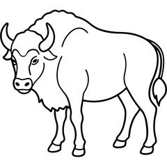 Rustic Bison Sketch Vector Art