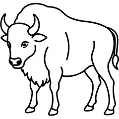 Rustic Bison Sketch Vector Art
