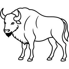 Rustic Bison Sketch Vector Art