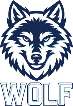 Bold and stylized vector illustration of a fierce animal mascot with sharp features and intense eyes, designed for sports teams, branding, or merchandise graphics.