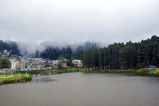 Serene Lakeside Village in Mist with Tall Trees and Soft Morning Clouds