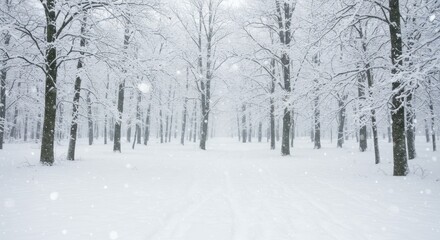 Obraz premium Enchanted Winter Forest: A Snowfall in Serenity