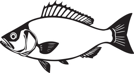 silhouette fish seabass on white background, vector illustration
