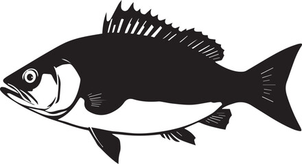 silhouette fish seabass on white background, vector illustration