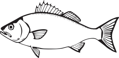 silhouette fish seabass on white background, vector illustration