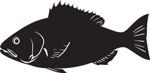 silhouette fish seabass on white background, vector illustration