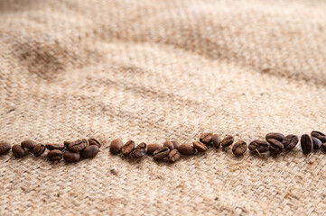 並んだコーヒー豆