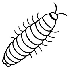 Silkworm Sketch in White