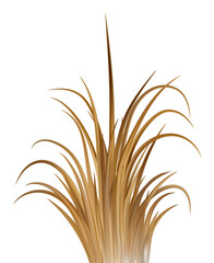 Fototapeta premium Dry brown grass. Dead field and marsh plants on meadow and beach. Prairie scene. Autumn realistic farm vegetation.