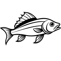 Simple Zander Fish Contour Illustration