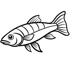 Simple Zander Fish Contour Illustration