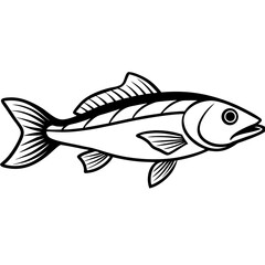 Simple Zander Fish Contour Illustration
