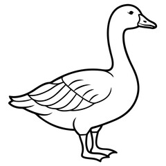 Snow Goose White Line Art