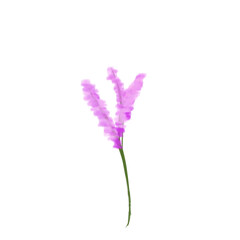 Obraz premium violet flower PNG