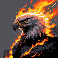 image of eagle head on fire