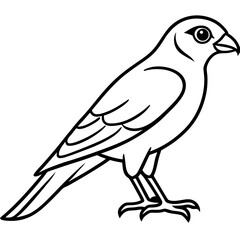 Sparrowhawk White Ink Design