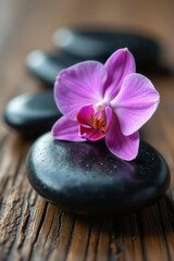 Smooth spa stones, delicate orchid blossom on rustic wood , calm, spa day