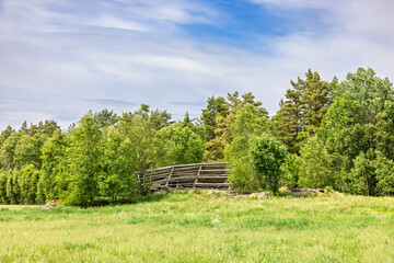 Grass meadow with an old barn ruin at the forest edge a sunny summer day