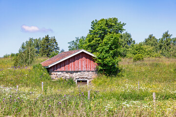 Old abandoned barn on a grass meadow with wildflowers a sunny summer day