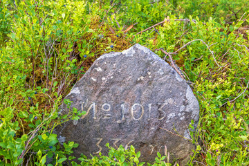 Old stone for road-holding number marking in green blueberry bushes © Lars Johansson