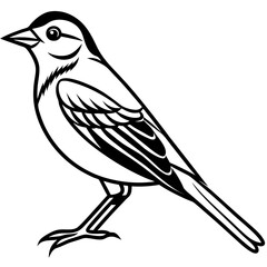 Stylized Yellowhammer Contour Vector Art