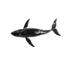 Underwater animal silhouettes, including fish, shark, and marine mammal vectors, isolated on white for ocean illustration