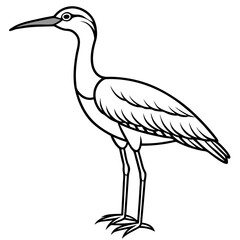 Whimbrel Minimalist Line Art Illustration