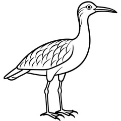 Whimbrel Minimalist Line Art Illustration