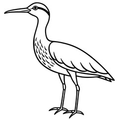 Whimbrel Minimalist Line Art Illustration