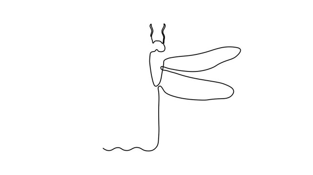 Abstract dragonfly, Self drawing animation one continuous line draw, logo