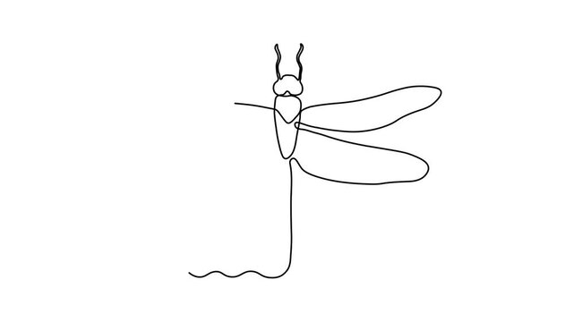 Abstract dragonfly, Self drawing animation one continuous line draw, logo